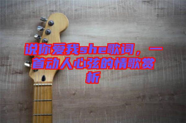 說你愛我she歌詞,一首動人心弦的情歌賞析