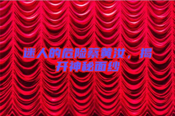 迷人的危險蔡黃汝,揭開神秘面紗