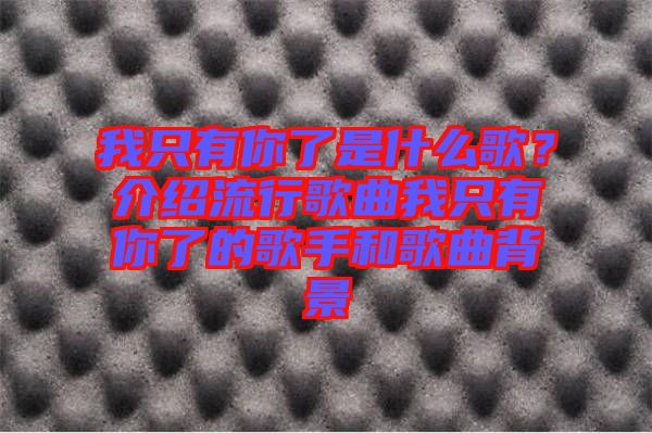我只有你了是什么歌？介紹流行歌曲我只有你了的歌手和歌曲背景