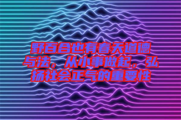 野百合也有春天道德與法,從小事做起,弘揚社會正氣的重要性