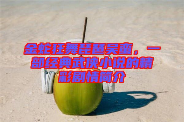 金蛇狂舞琵琶吳蠻，一部經典武俠小說的精彩劇情簡介