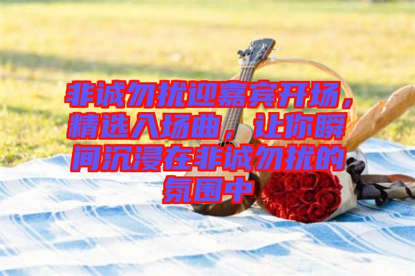 非誠勿擾迎嘉賓開場，精選入場曲，讓你瞬間沉浸在非誠勿擾的氛圍中