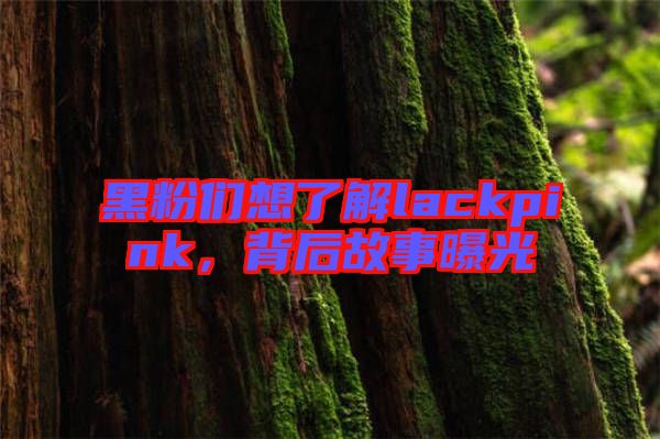 黑粉們想了解lackpink,背后故事曝光