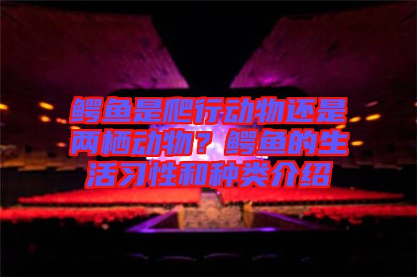 鱷魚是爬行動物還是兩棲動物？鱷魚的生活習性和種類介紹