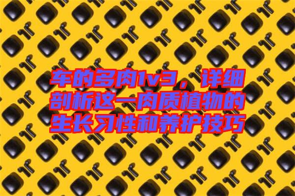 車的多肉1v3，詳細(xì)剖析這一肉質(zhì)植物的生長習(xí)性和養(yǎng)護(hù)技巧