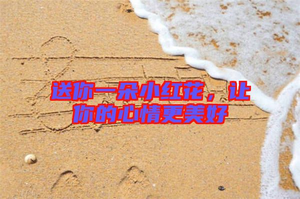 送你一朵小紅花,讓你的心情更美好