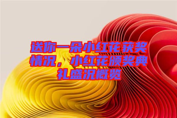 送你一朵小紅花獲獎情況,小紅花頒獎典禮盛況概覽