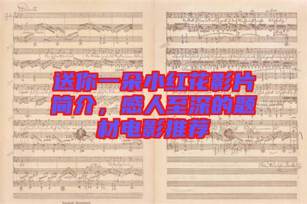 送你一朵小紅花影片簡介，感人至深的題材電影推薦