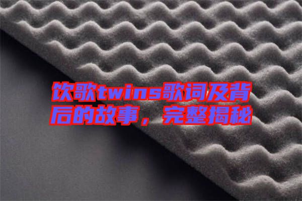 飲歌twins歌詞及背后的故事,完整揭秘