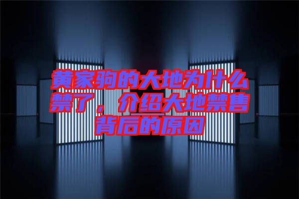 黃家駒的大地為什么禁了,介紹大地禁售背后的原因