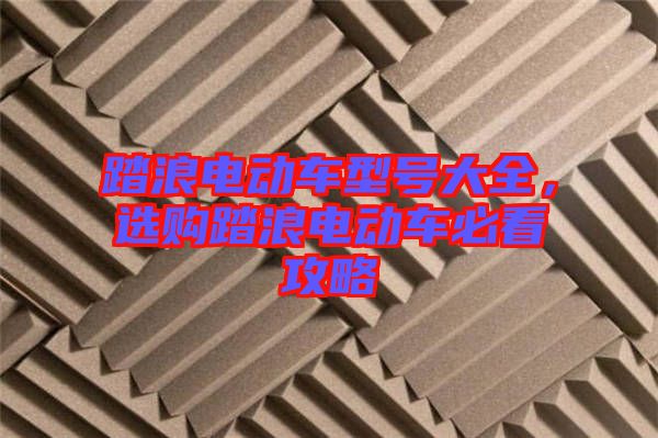 踏浪電動車型號大全,選購踏浪電動車必看攻略