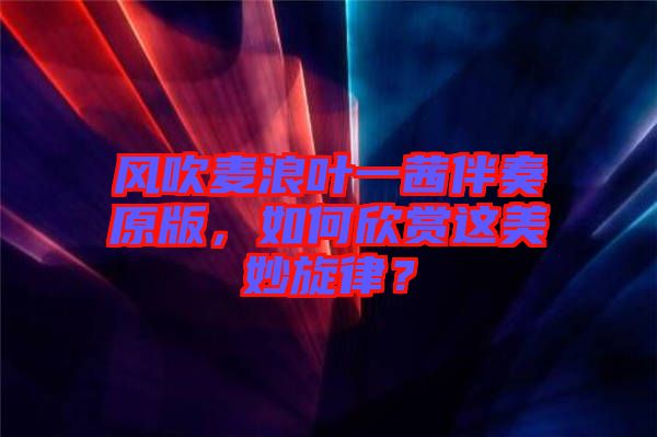 風(fēng)吹麥浪葉一茜伴奏原版,如何欣賞這美妙旋律?