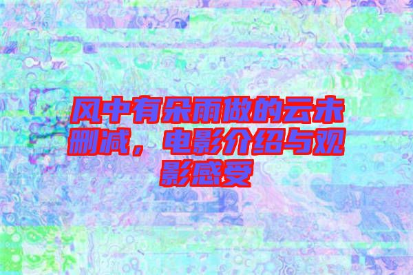 風中有朵雨做的云未刪減,電影介紹與觀影感受