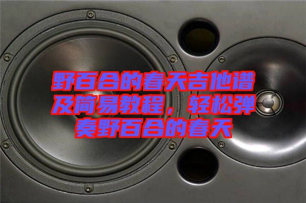 野百合的春天吉他譜及簡易教程,輕松彈奏野百合的春天