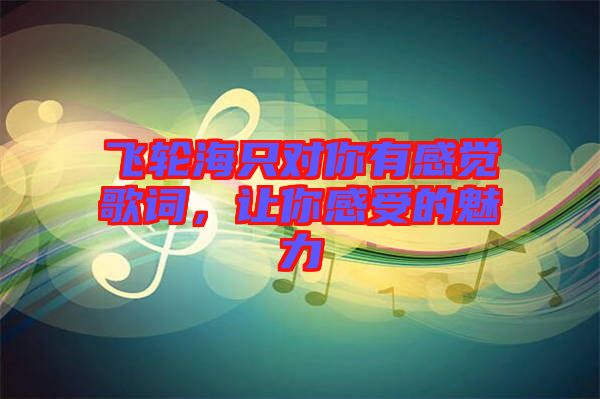 飛輪海只對你有感覺歌詞,讓你感受的魅力