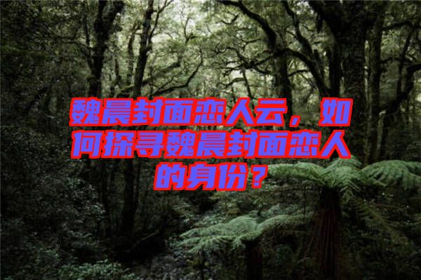 魏晨封面戀人云，如何探尋魏晨封面戀人的身份？