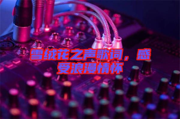 雪絨花之聲歌詞，感受浪漫情懷