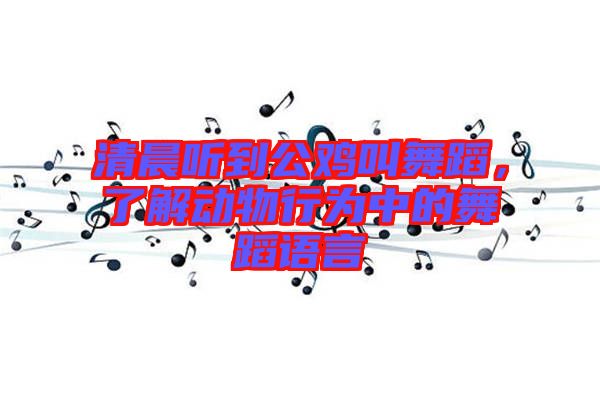 清晨聽到公雞叫舞蹈，了解動物行為中的舞蹈語言