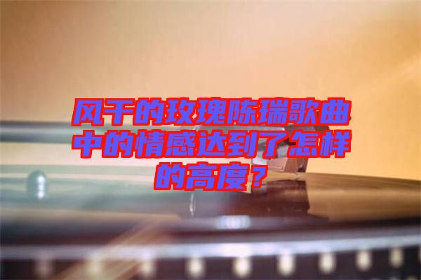 風(fēng)干的玫瑰陳瑞歌曲中的情感達(dá)到了怎樣的高度?