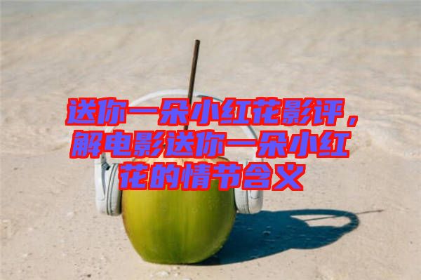 送你一朵小紅花影評,解電影送你一朵小紅花的情節含義