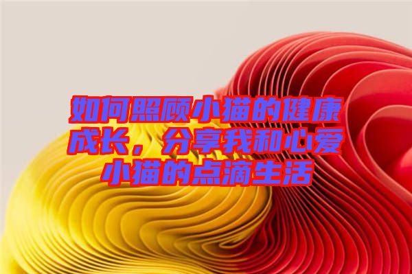 如何照顧小貓的健康成長,分享我和心愛小貓的點滴生活