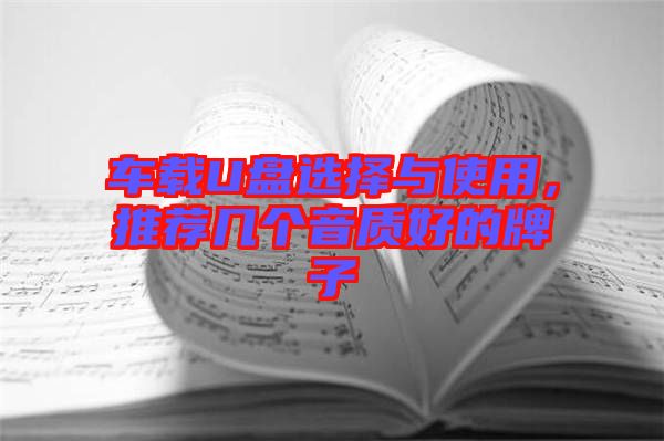 車載U盤選擇與使用,推薦幾個音質好的牌子