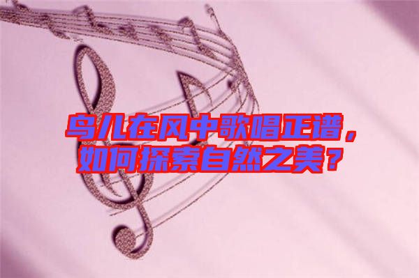 鳥兒在風中歌唱正譜,如何探索自然之美?