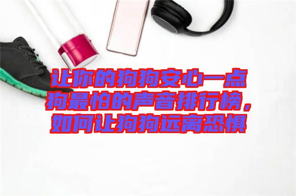 讓你的狗狗安心一點狗最怕的聲音排行榜,如何讓狗狗遠離恐懼
