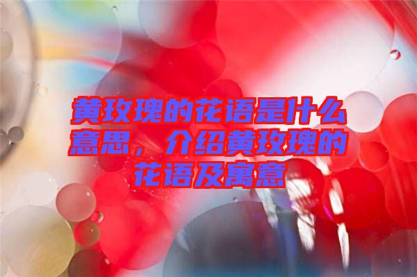 黃玫瑰的花語是什么意思,介紹黃玫瑰的花語及寓意