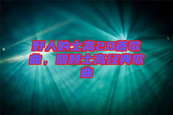 野人的士高20首歌曲，回顧士高經典歌曲