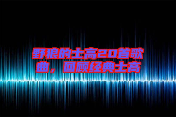 野狼的士高20首歌曲，回顧經典士高