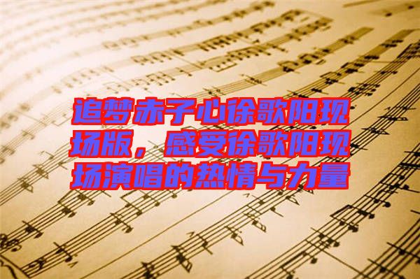 追夢赤子心徐歌陽現(xiàn)場版，感受徐歌陽現(xiàn)場演唱的熱情與力量