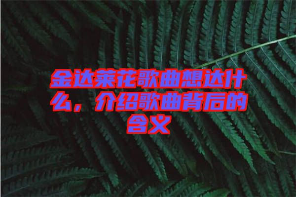 金達(dá)萊花歌曲想達(dá)什么,介紹歌曲背后的含義